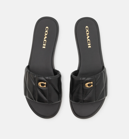 CO FLAT SLIDES