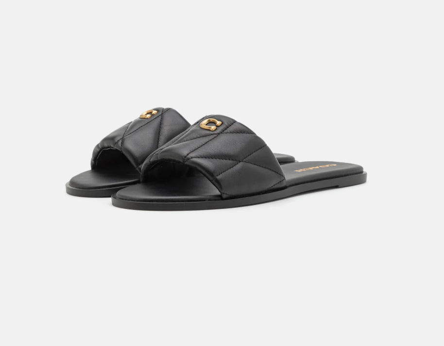 CO FLAT SLIDES